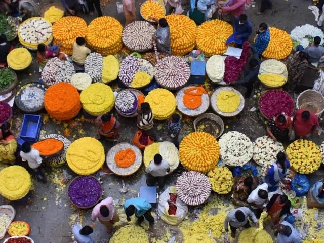 Vista aérea de personas sentadas entre montones de flores coloridas